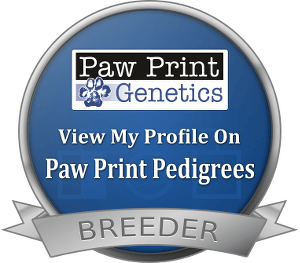 Paw Prints Genetics Logo